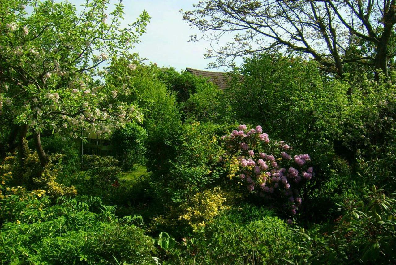 Ferienhaus Annemarie Senftenberg Esterno foto